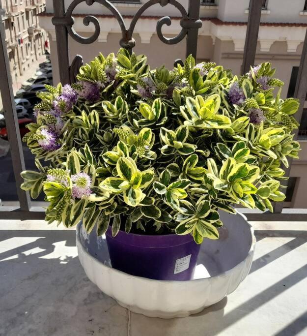 Casa Jole, Appartamento In Centro Bari Extérieur photo